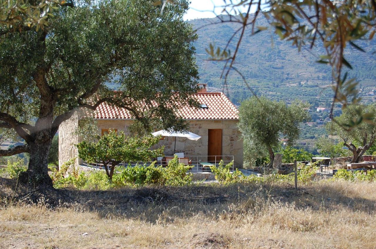 Séjour à la ferme Casa Da Carriça - Serra Da Estrela Guarda