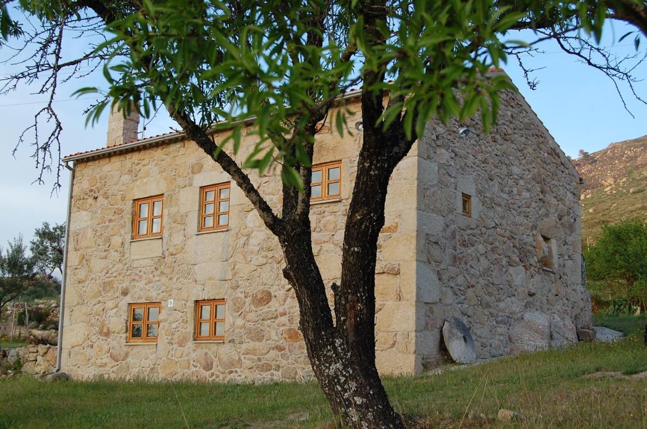 Casa Da Carriça - Serra Da Estrela Séjour à la ferme *