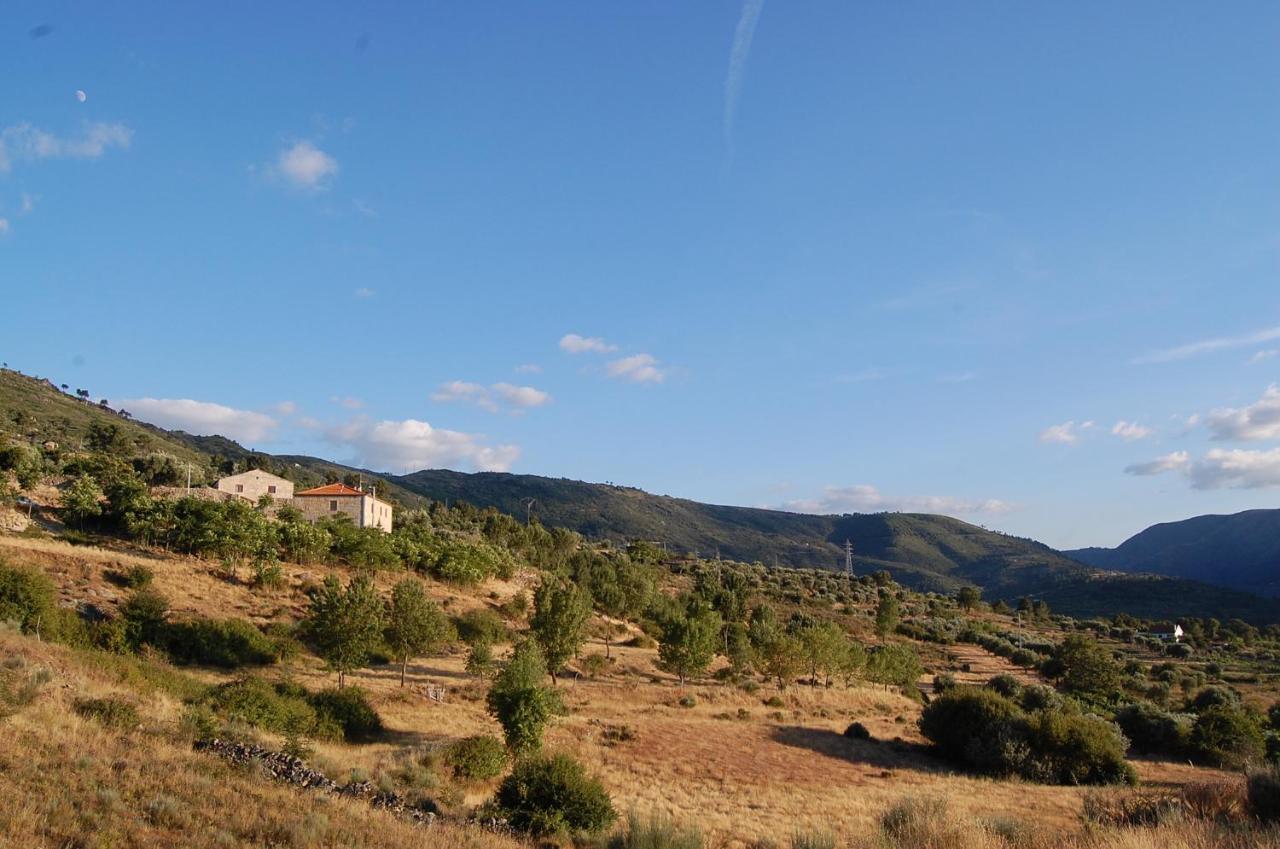 Casa Da Carriça - Serra Da Estrela Séjour à la ferme *