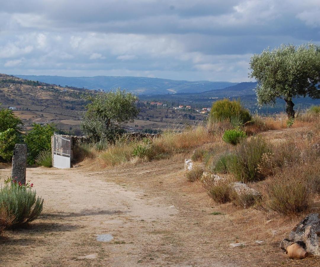 Casa Da Carriça - Serra Da Estrela *