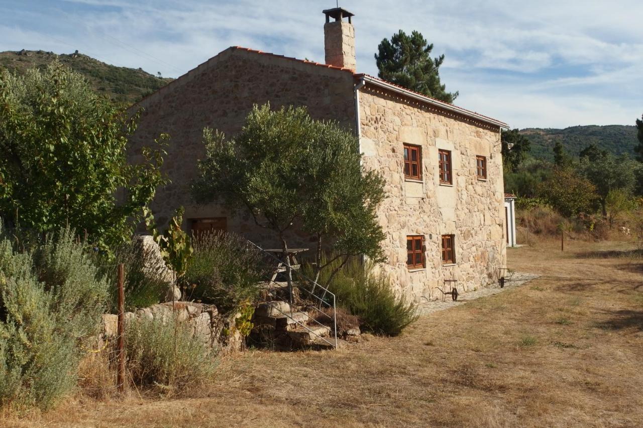 Casa Da Carriça - Serra Da Estrela *